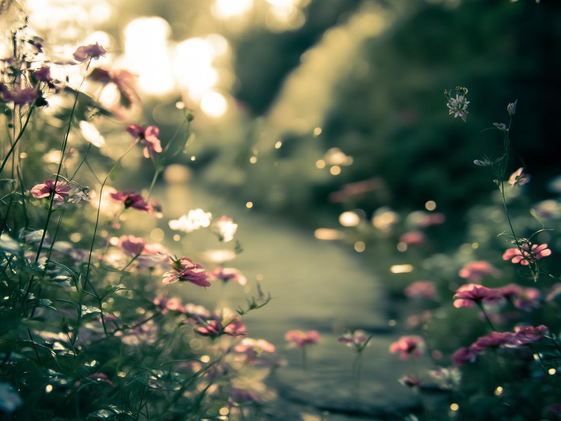 也许能遇到对的她出自哪首歌? 也许能遇到对的她出自哪首歌?