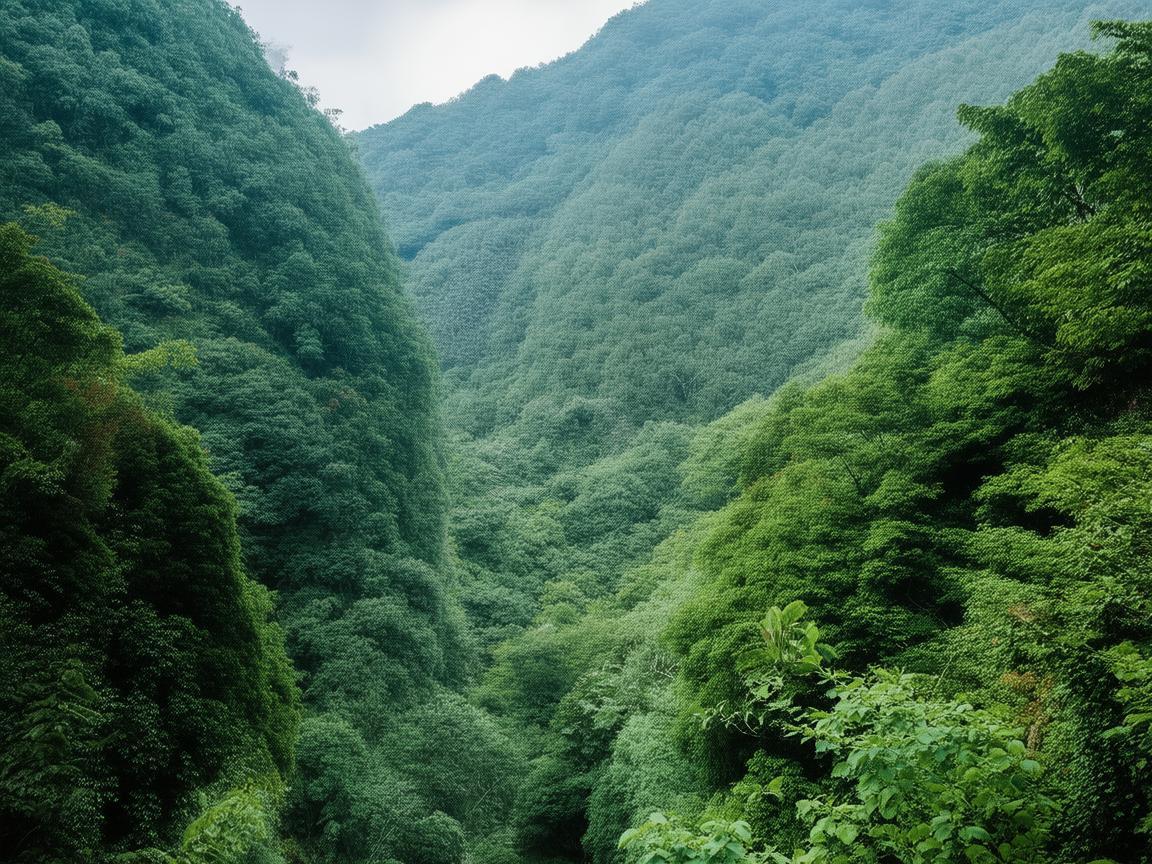 盈江目瑙纵歌究竟属于什么社区？