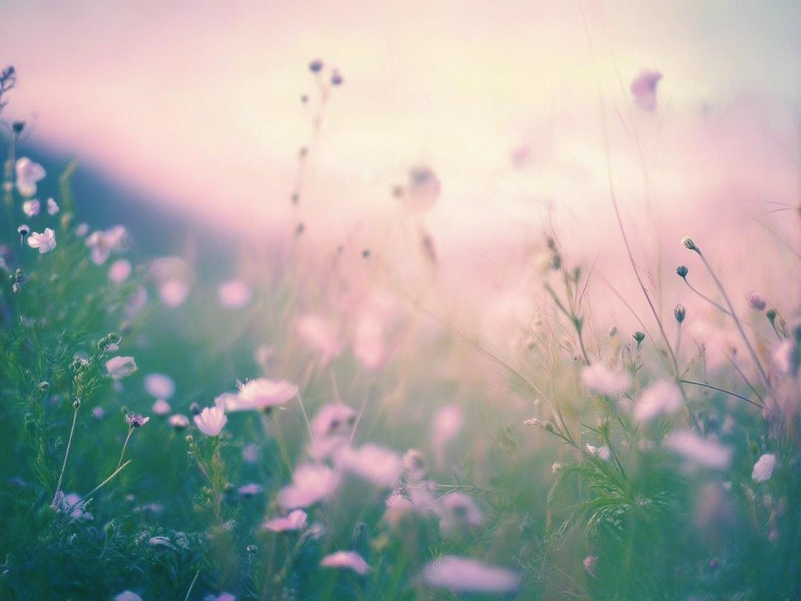 微风拂面来这句歌词出自哪首歌? 微风拂面来这句歌词出自哪首歌?