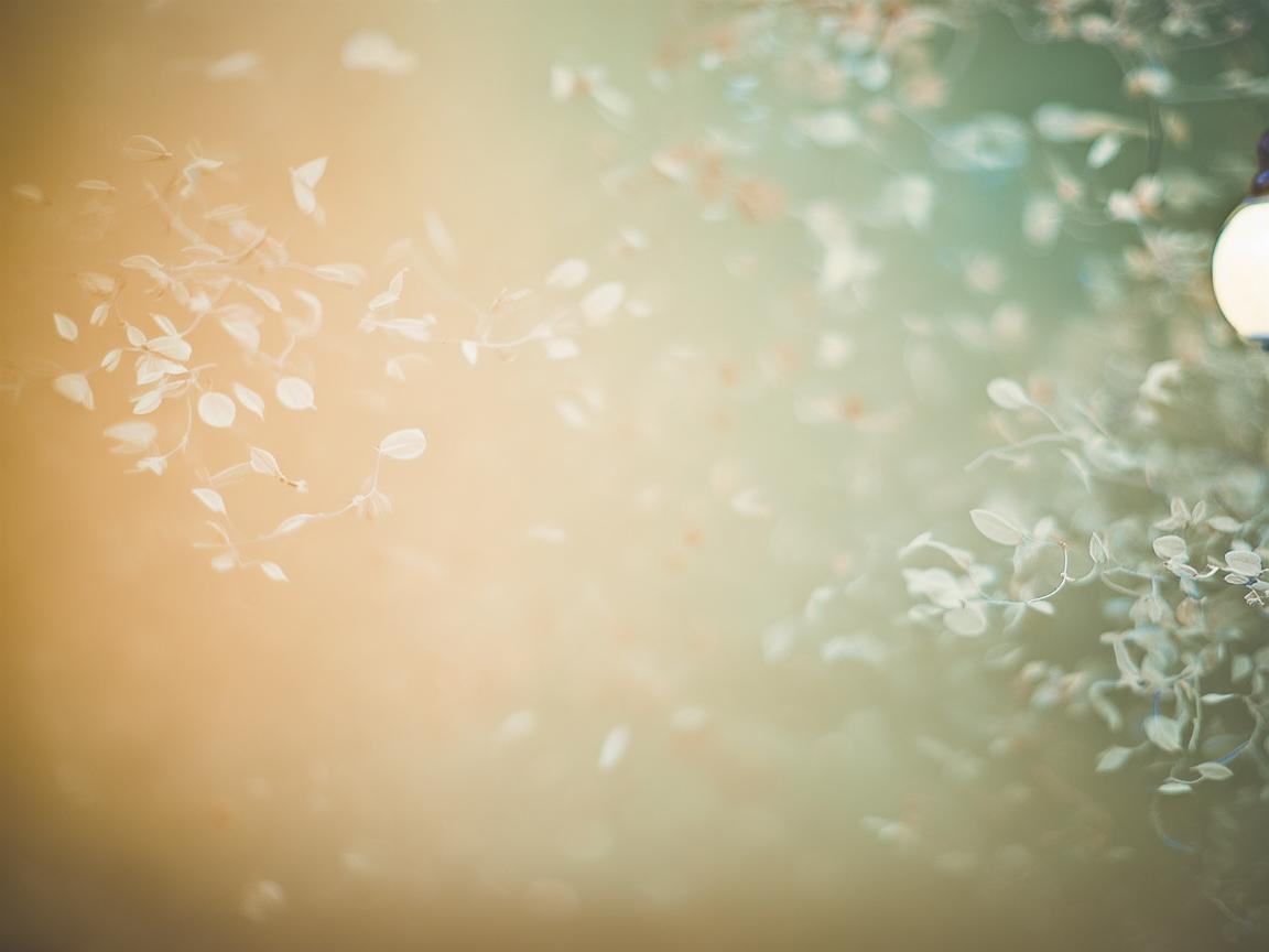 我们相识的意义究竟是哪首歌？