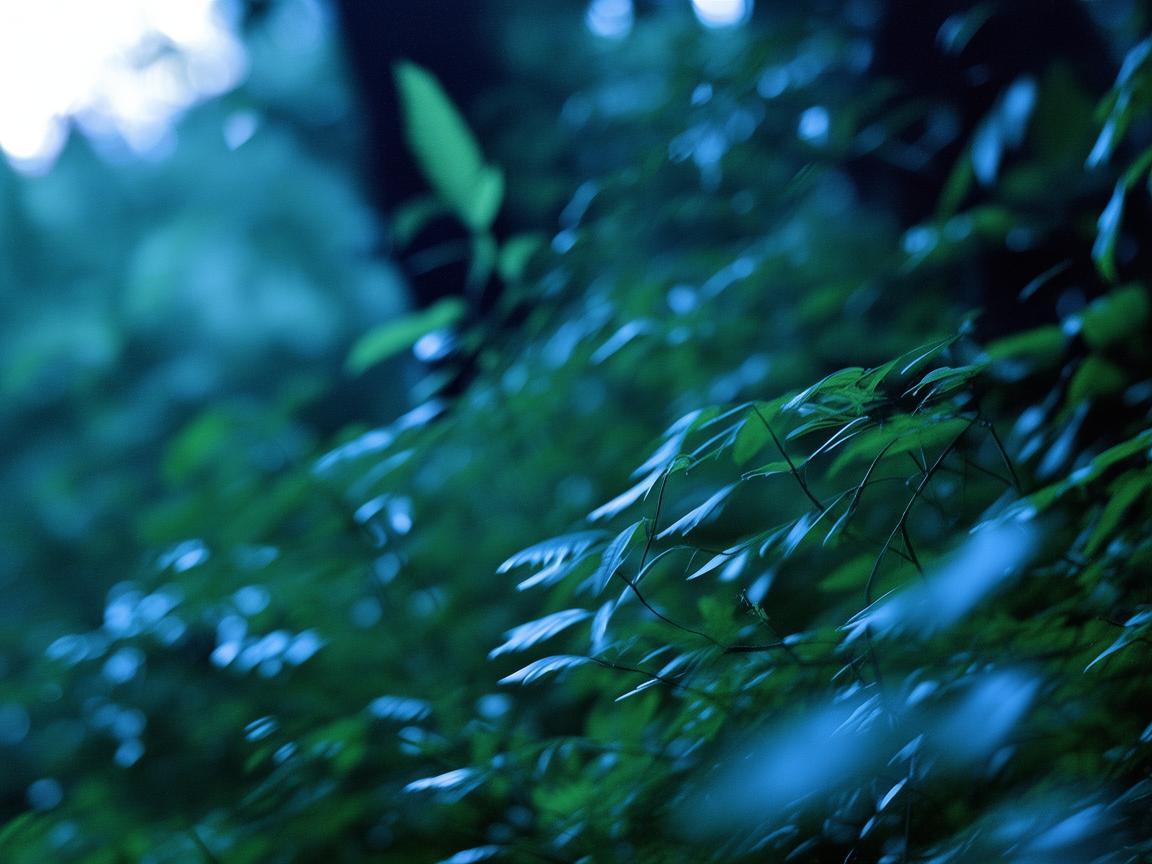 风里啊夜里啊究竟出自哪首歌? 风里啊夜里啊究竟出自哪首歌?