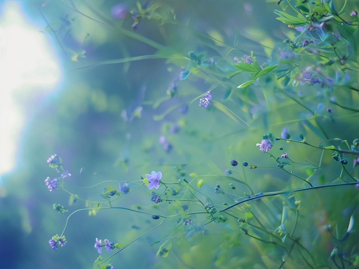 歌词里有丫头的是哪首歌? 歌词里有丫头的是哪首歌?