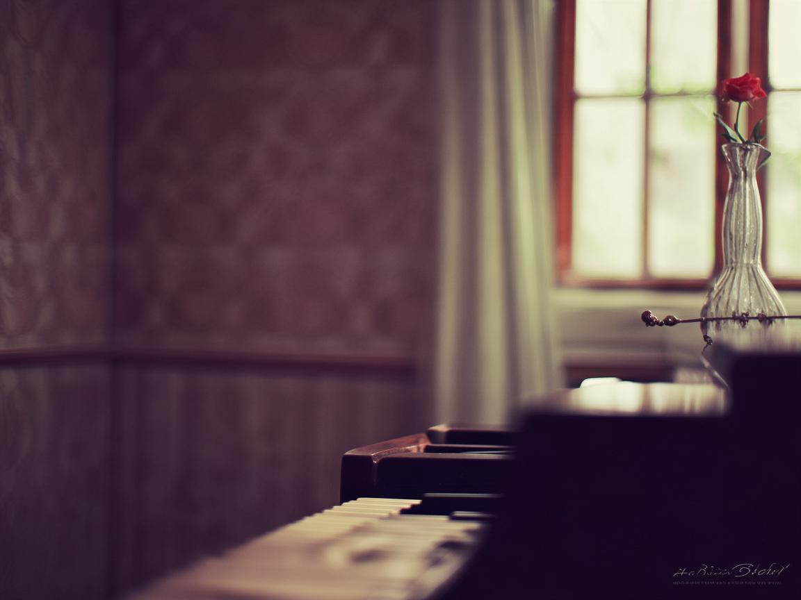 偶尔的陪伴是哪首歌? 偶尔的陪伴是哪首歌?