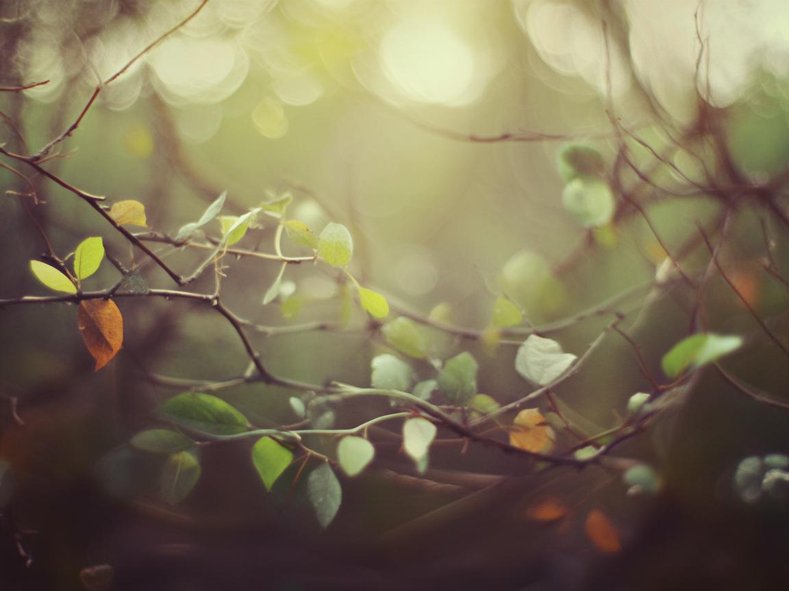 曾经相依相偎这句歌词出自哪首歌? 曾经相依相偎这句歌词出自哪首歌?