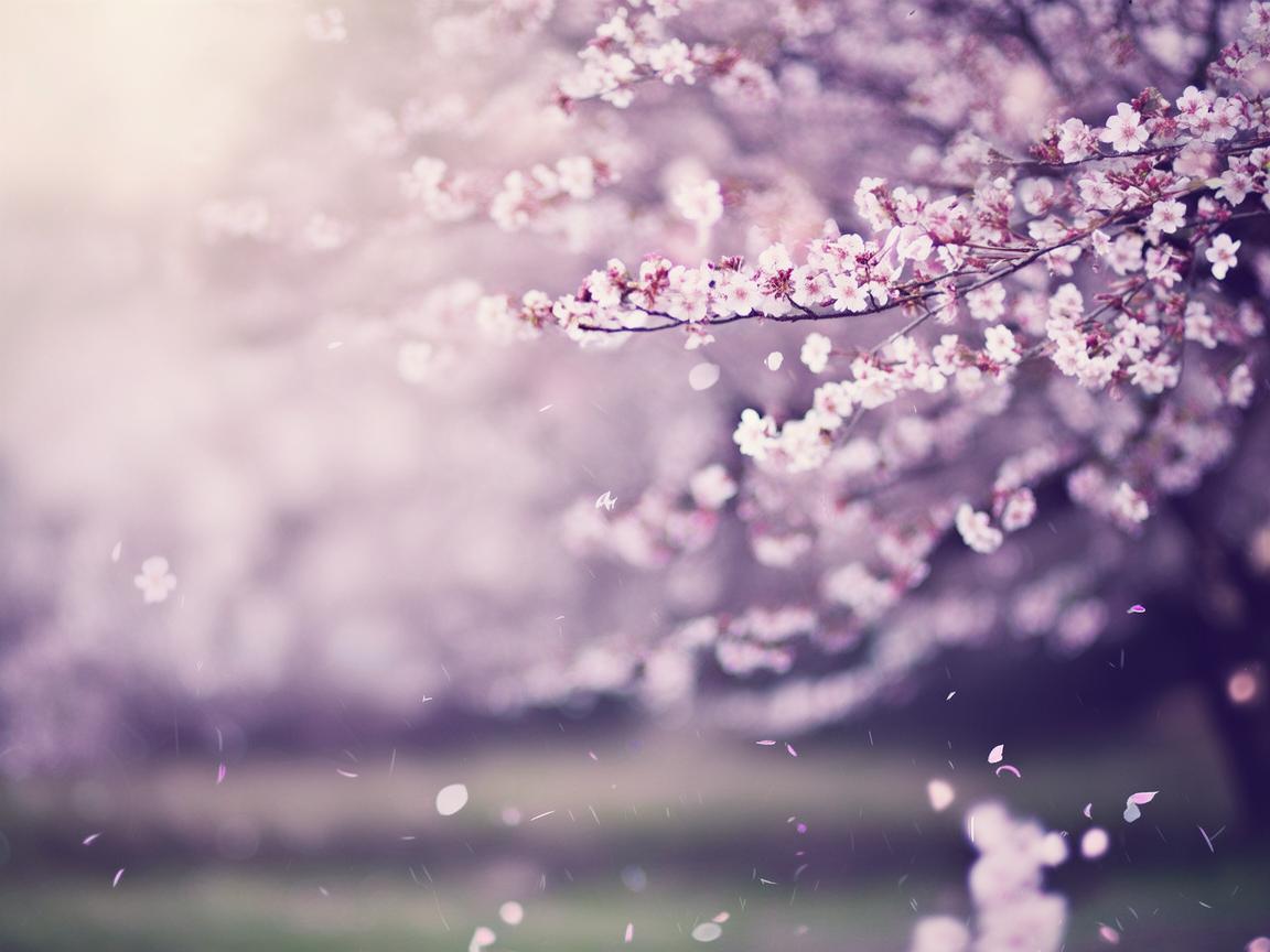 还爱你这句歌词出自哪首歌? 还爱你这句歌词出自哪首歌?